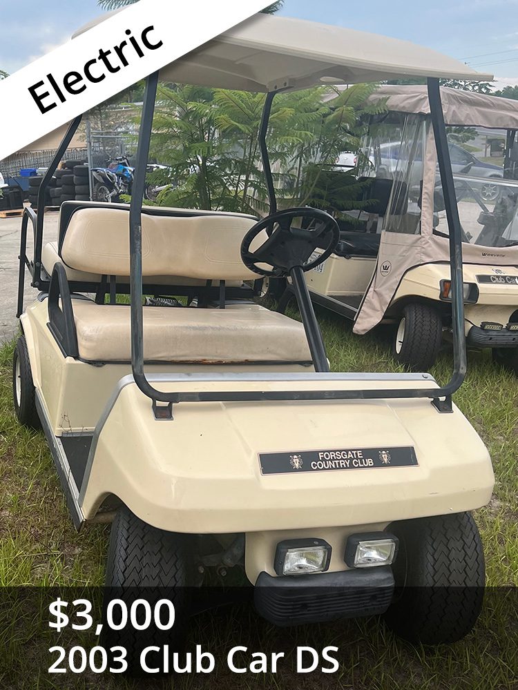 Electric Golf Cart for Sale