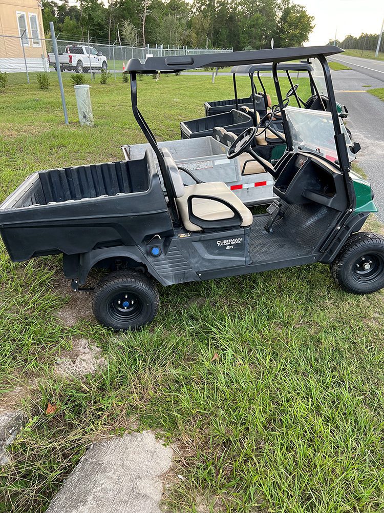 Gas Golf Cart for Sale