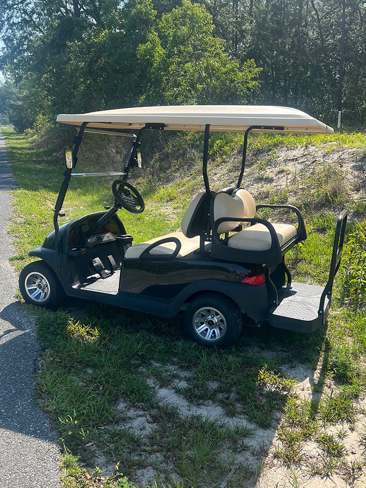 Electric Golf Cart for sale